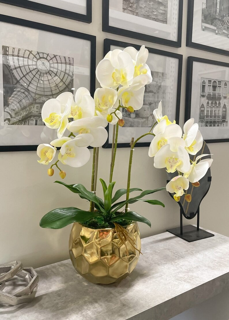 White Silk Orchid Arrangement w/ 3 Stems Phalaenopsis Orchids in Gold Vase