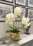 White Silk Orchid Arrangement w/ 3 Phalaenopsis Orchids in Gold Vase