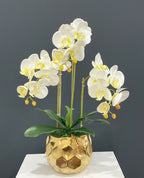 White Silk Orchid Arrangement w/ 3 Phalaenopsis Orchids in Gold Vase - Flovery