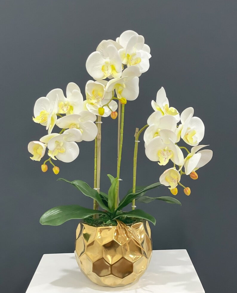 White Silk Orchid Arrangement w/ 3 Phalaenopsis Orchids in Gold Vase - Flovery