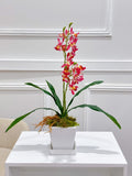Real Touch Phalaenopsis Baby Orchid Arrangement In White Ceramic Vase