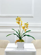 Real Touch Phalaenopsis Baby Orchid Arrangement In White Ceramic Vase