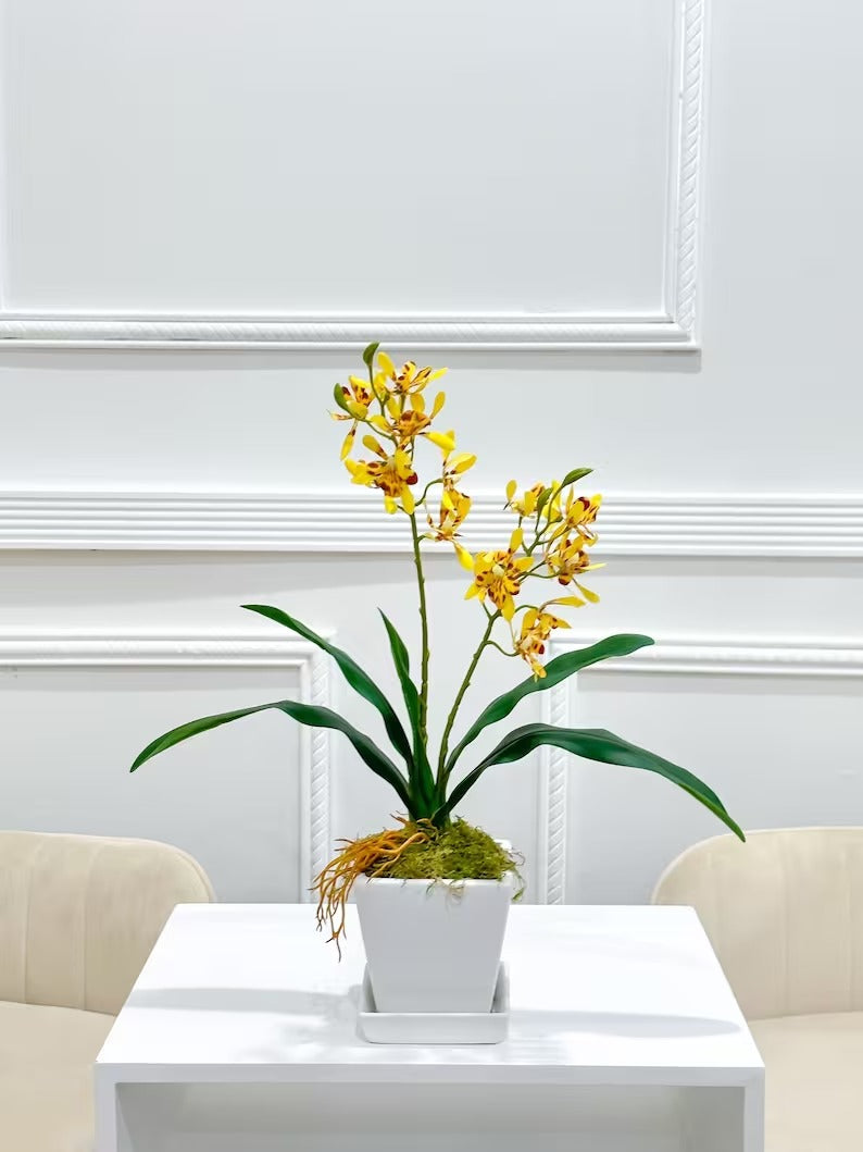 Real Touch Phalaenopsis Baby Orchid Arrangement In White Ceramic Vase