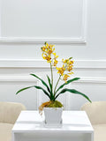 Real Touch Phalaenopsis Baby Orchid Arrangement In White Ceramic Vase
