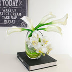Real Touch White Calla Lilies Orchids Bubble Arrangement - Flovery