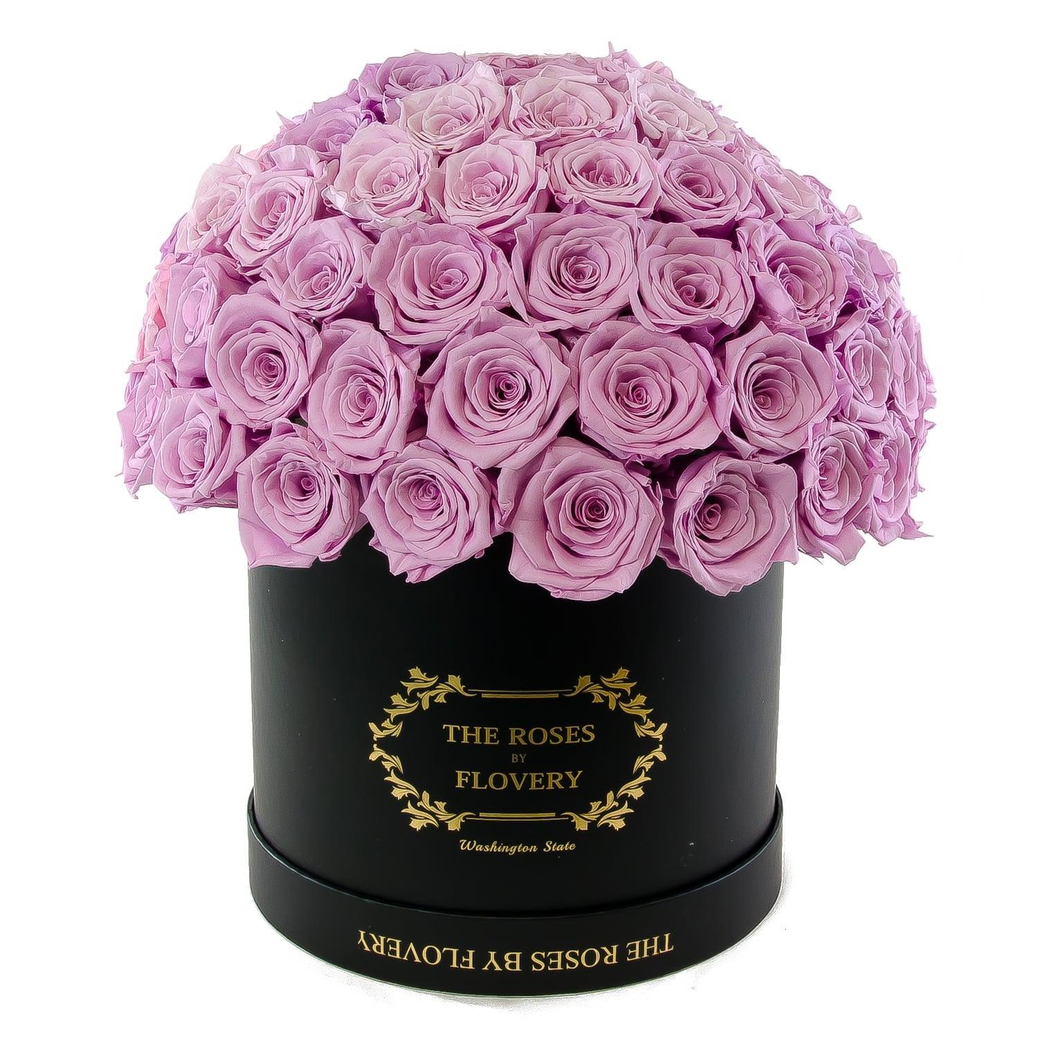 Dome 120 Purple Roses Black Box - Flovery Main image