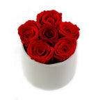Red Preserved Roses White Ceramic Round Vase - Flovery