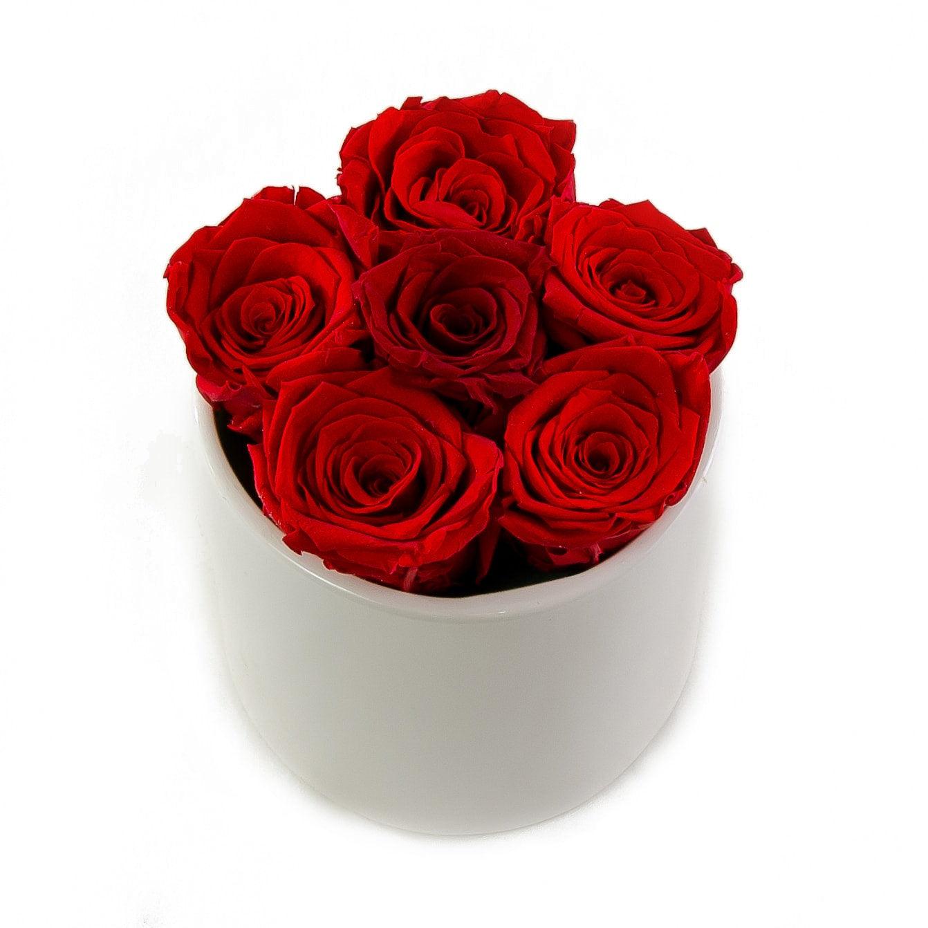 Red Preserved Roses White Ceramic Round Vase - Flovery