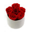 Red Preserved Roses White Ceramic Round Vase - Flovery