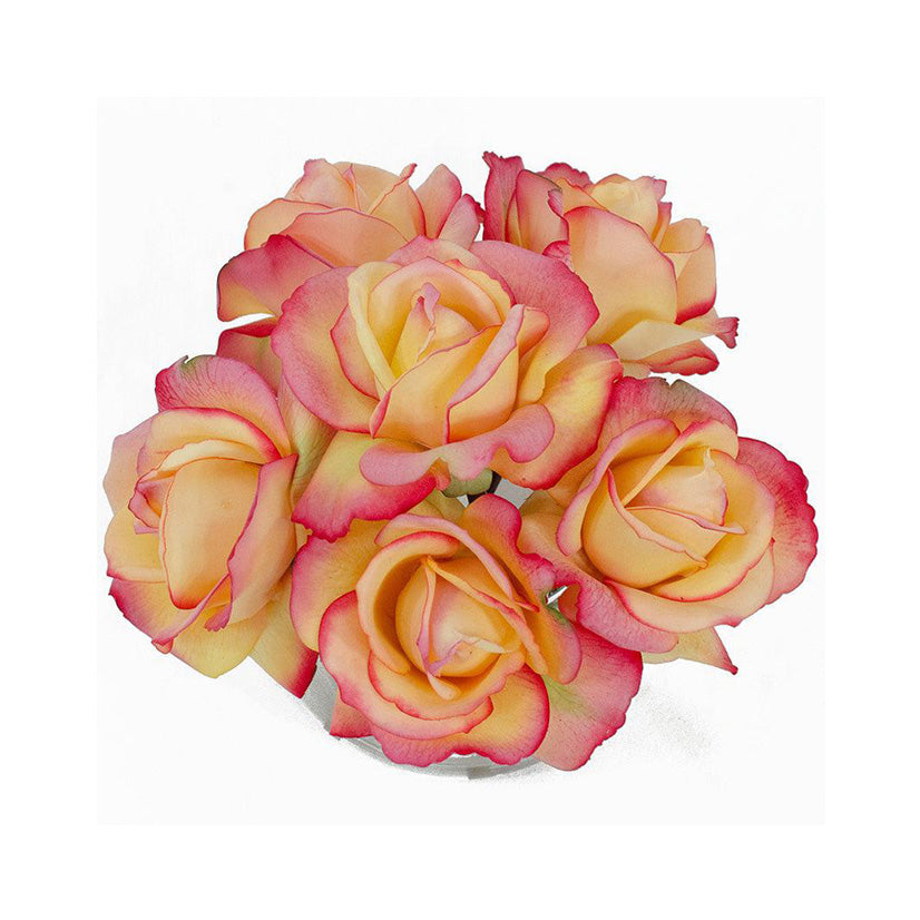 Finest Real Touch Yellow Pink Tipped Roses Arrangement – Flovery.com