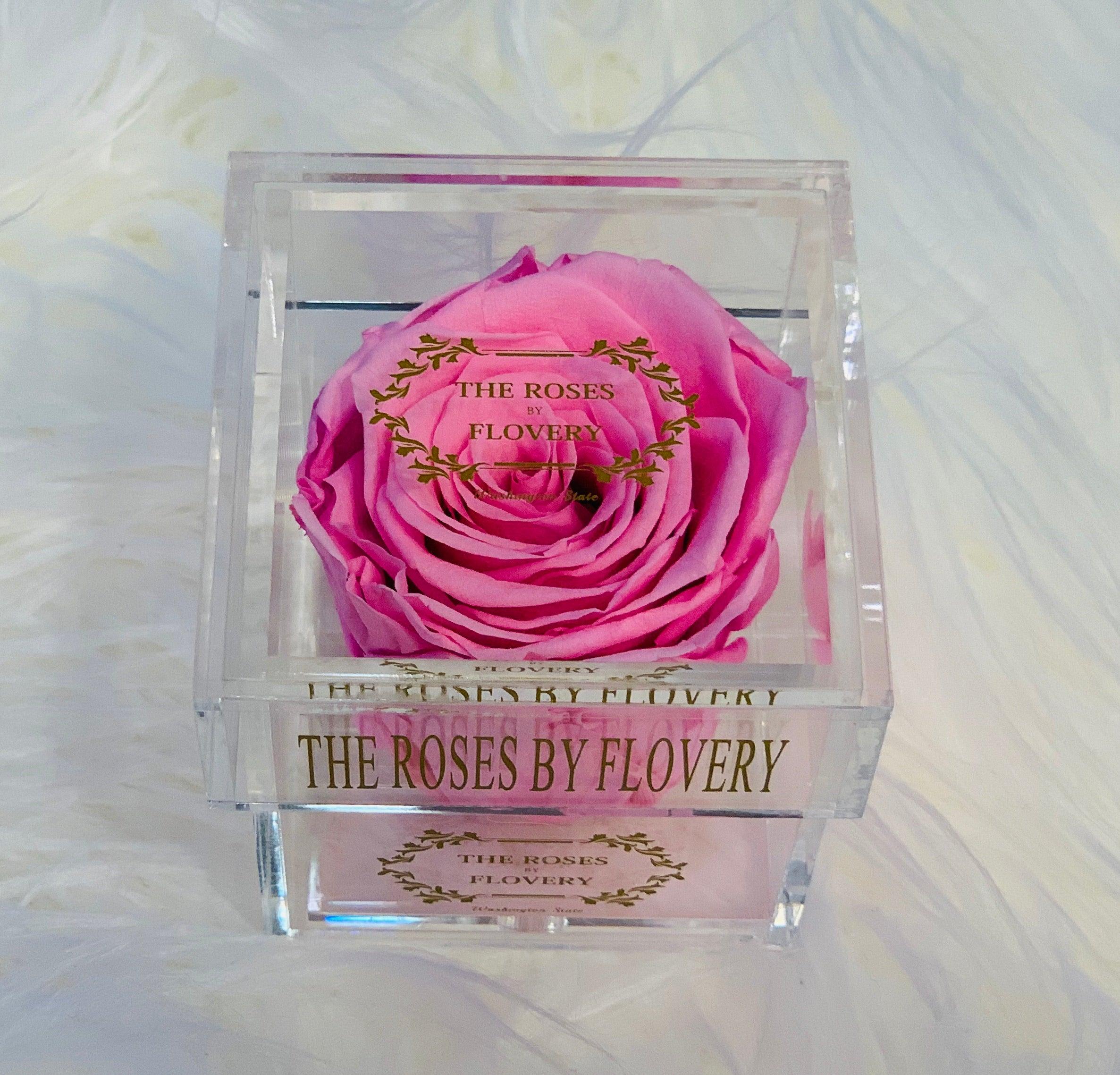 Elegant premium Ecuador preserved pink rose in clear acrylic - Flovery Main image