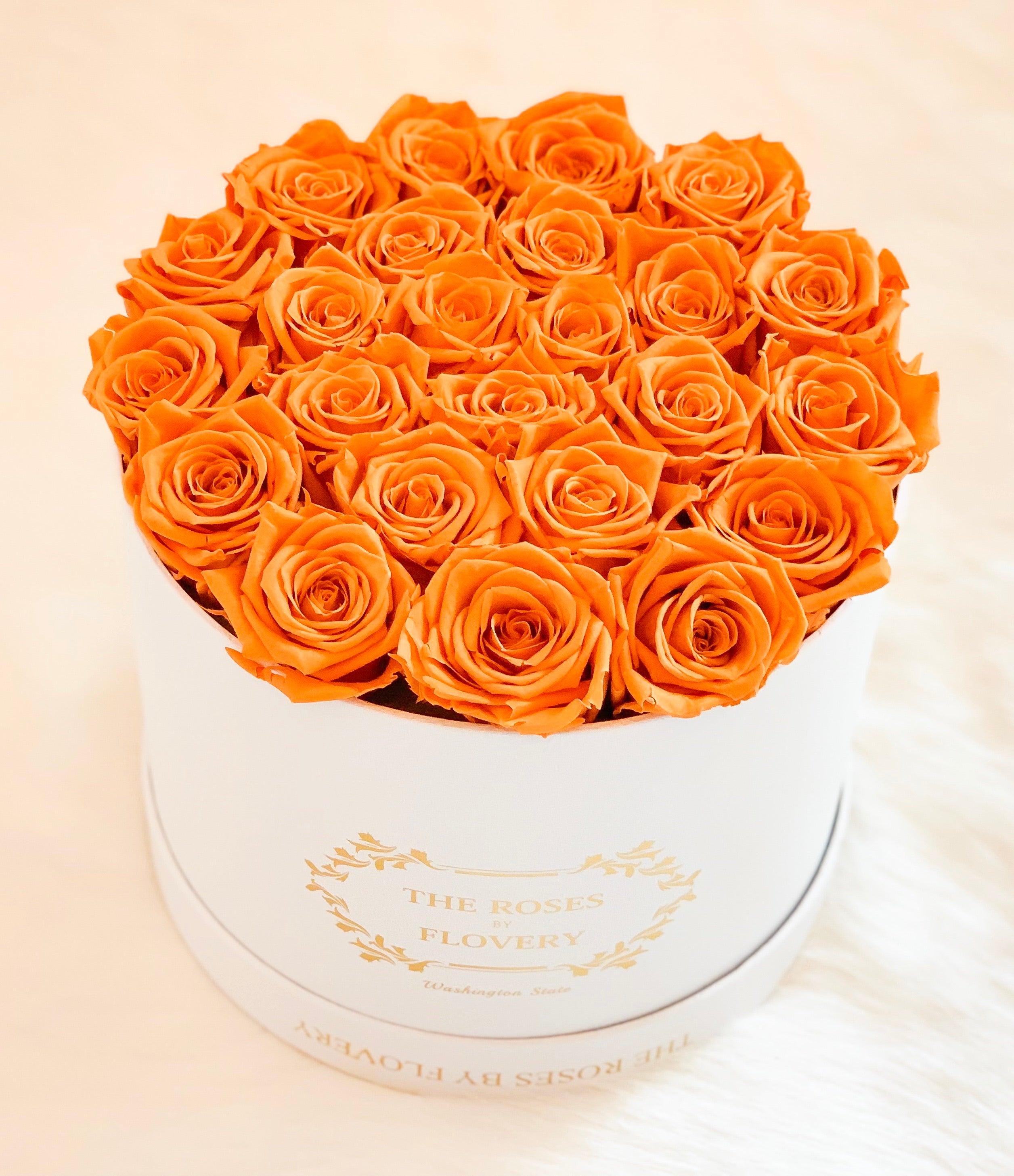 Medium premium preserved orange roses Secondary image