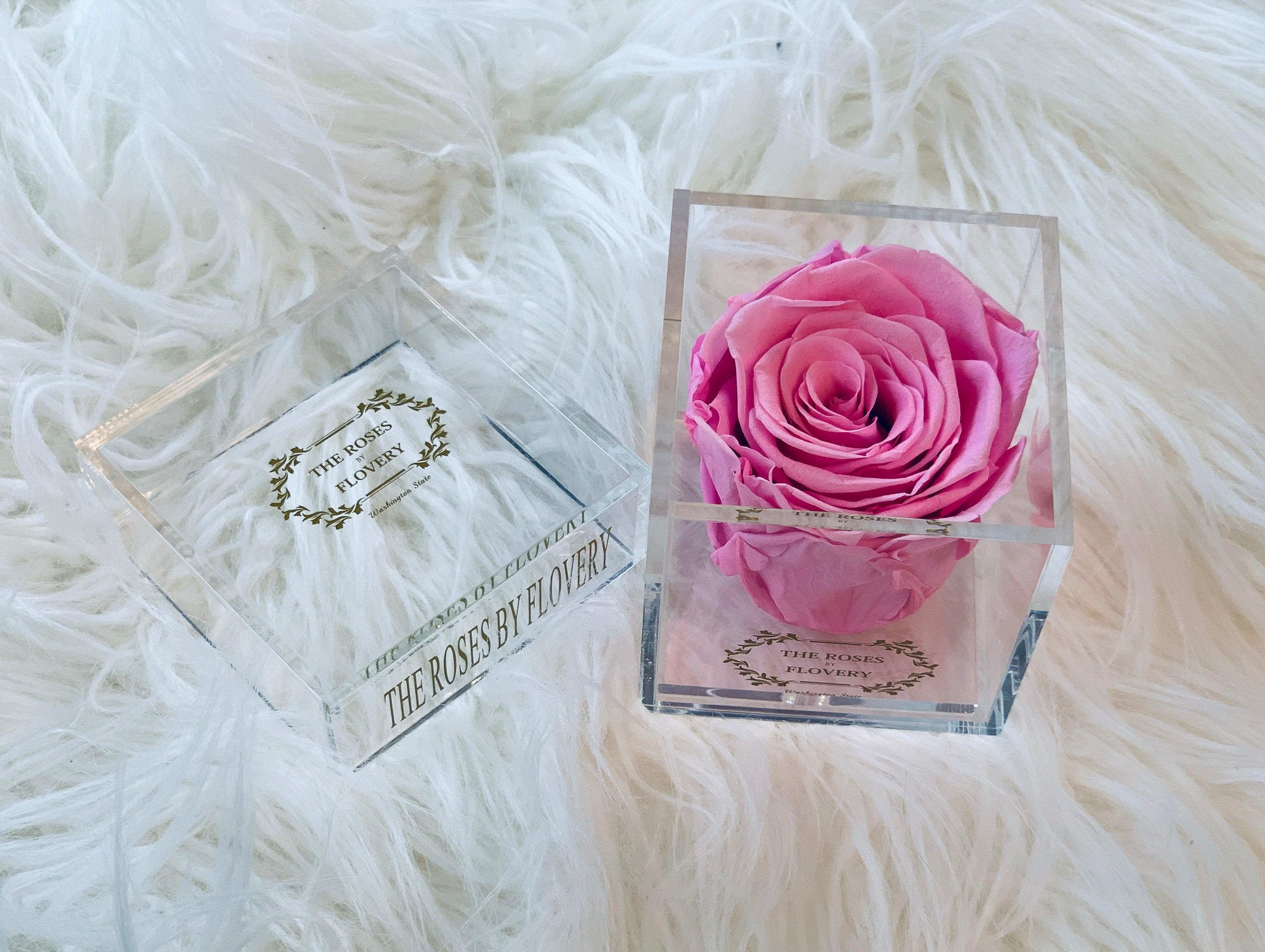 Elegant premium Ecuador preserved pink rose in clear acrylic Secondary image