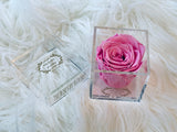Elegant premium Ecuador preserved pink rose in clear acrylic - Flovery