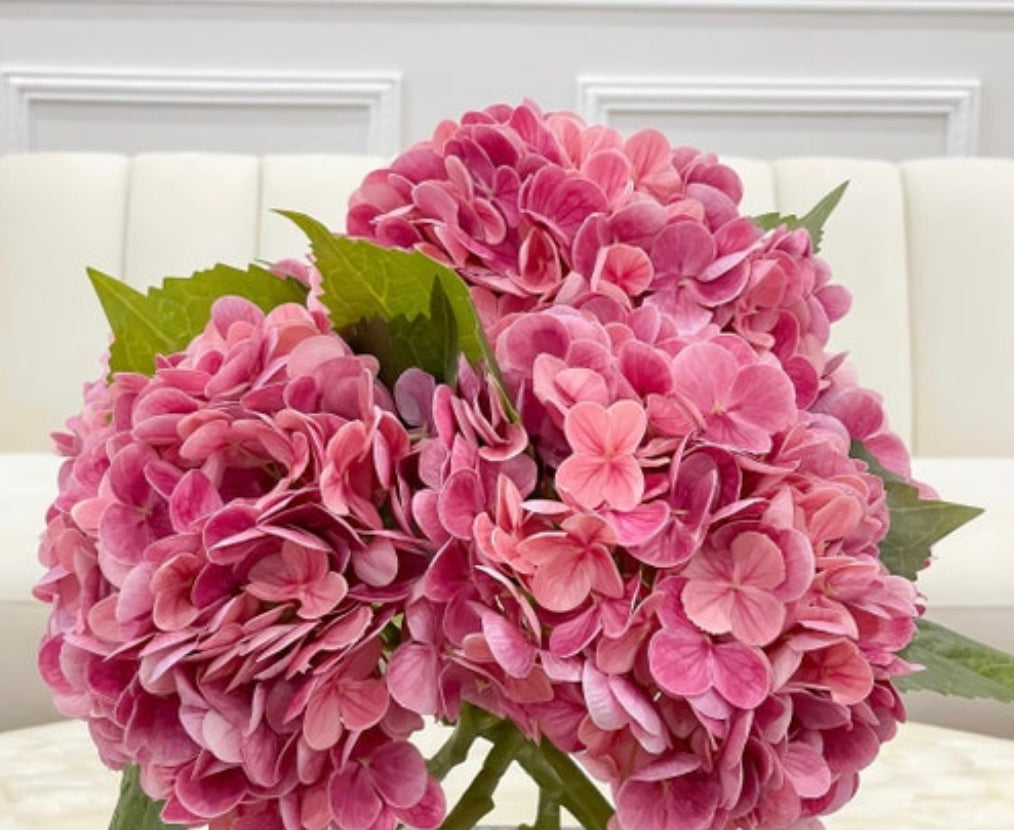 Beautiful Dried Hydrangeas In Big Transparent Glass Vase On Pink