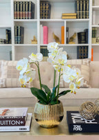 22.5” Real Touch Orchid Arrangement - Flovery