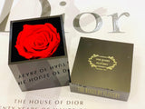 Elegant premium Ecuador preserved red rose in black cube - Flovery