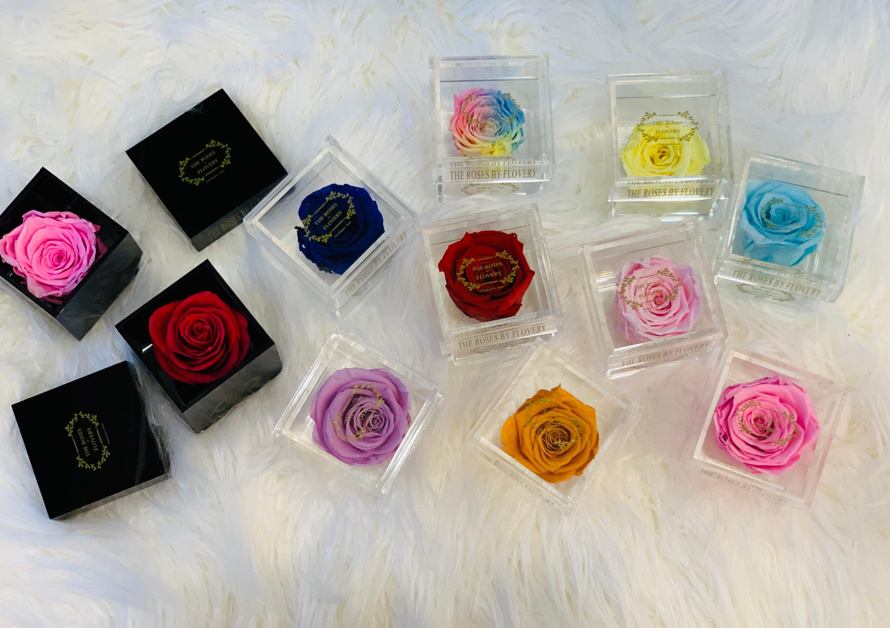 Elegant premium Ecuador preserved rose in clear acrylic cube - Flovery