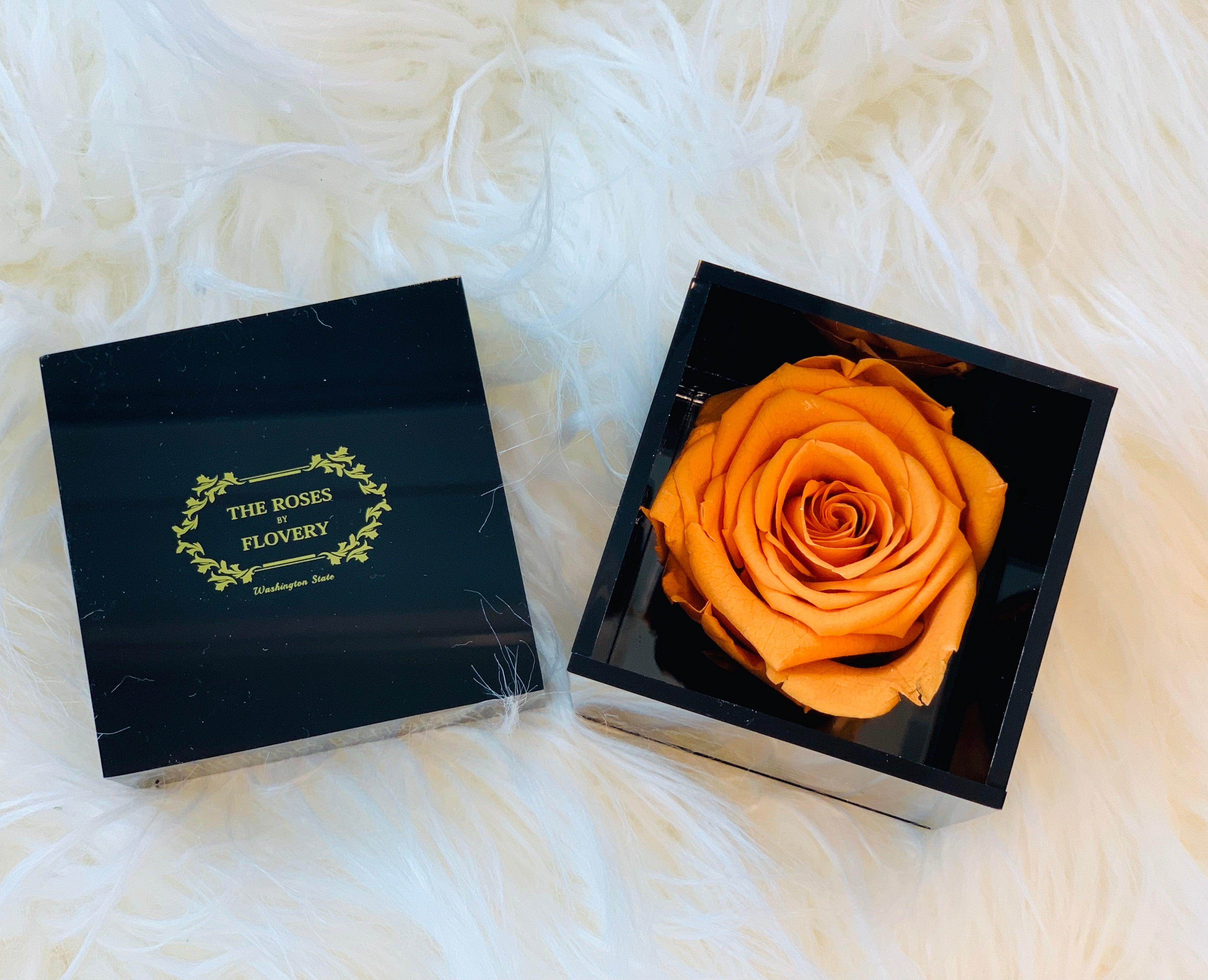 Elegant premium Ecuador preserved orange rose in black cube - Flovery Main image