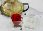 Elegant premium Ecuador preserved rose in clear acrylic cube - Flovery