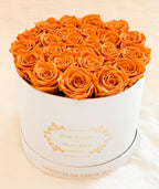 Medium premium preserved orange roses - Flovery