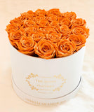 Medium premium preserved orange roses - Flovery