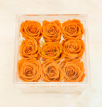 Premium Ecuador preserved orange roses in elegant acrylic box - Flovery