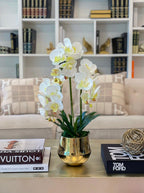 Large Orchid Arrangement Gold Pot - Flovery