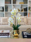 Large Orchid Arrangement Gold Pot - Flovery