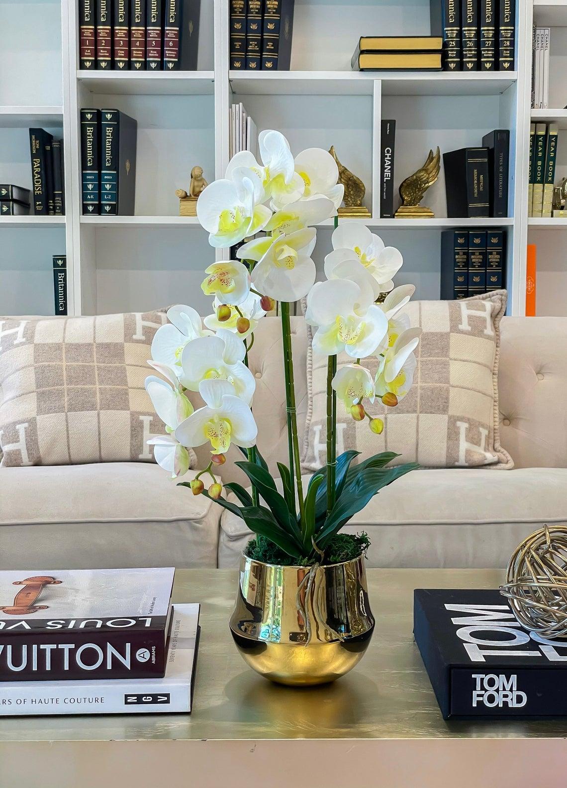 Large Orchid Arrangement Gold Pot Secondary image