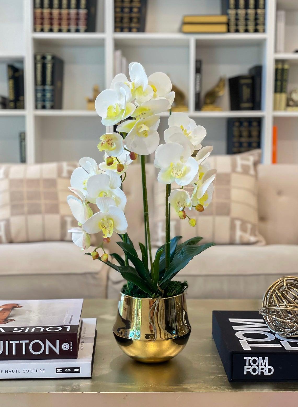 Large Orchid Arrangement Gold Pot - Flovery