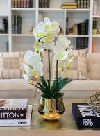 Large Orchid Arrangement Gold Pot - Flovery