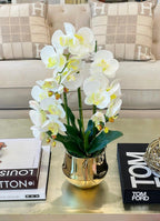 Large Orchid Arrangement Gold Pot - Flovery
