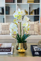 Large Orchid Arrangement Gold Pot - Flovery